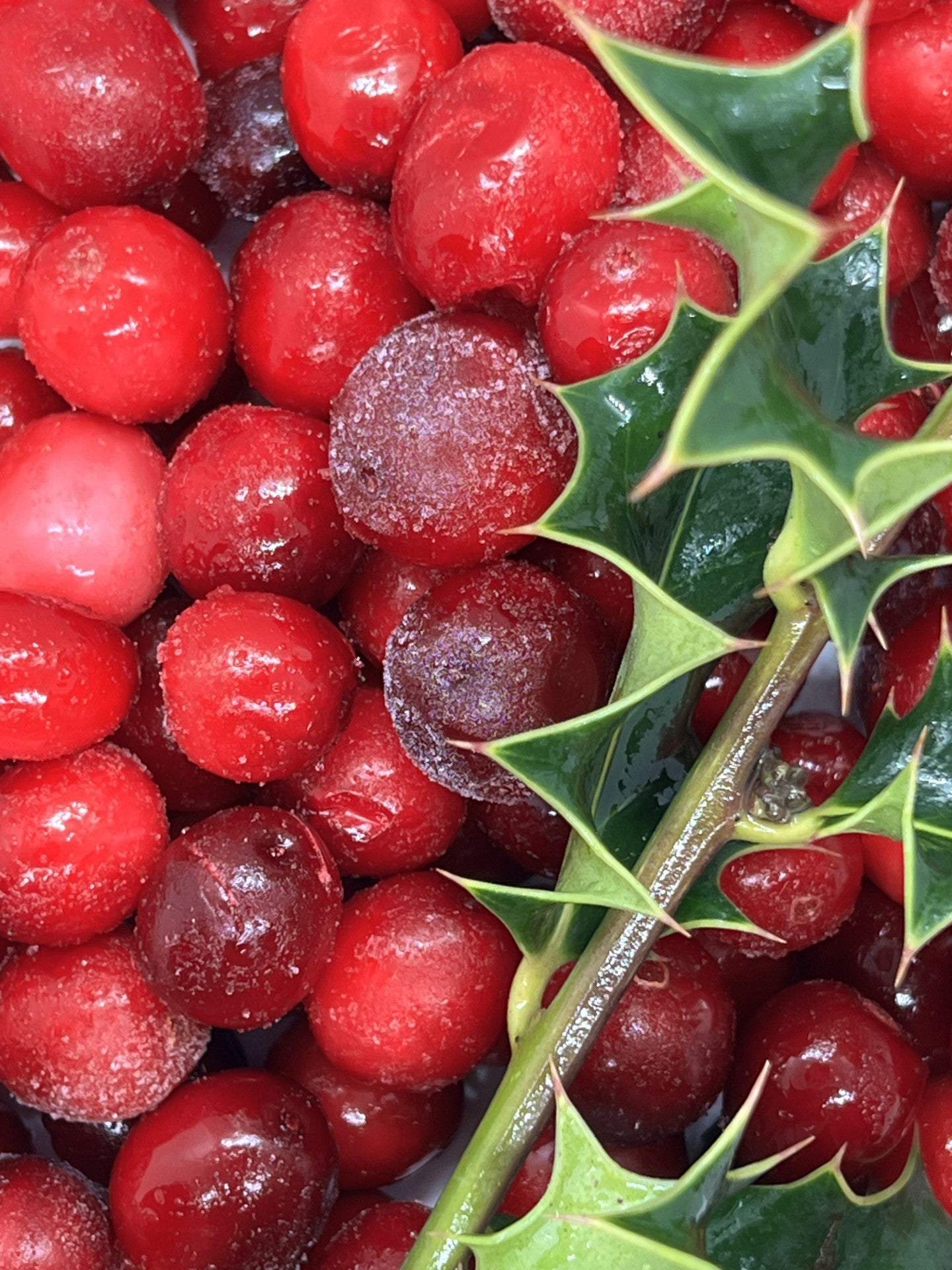 Mistletoe | 8 oz. Soy Wax Essential Oil Lux Vessel