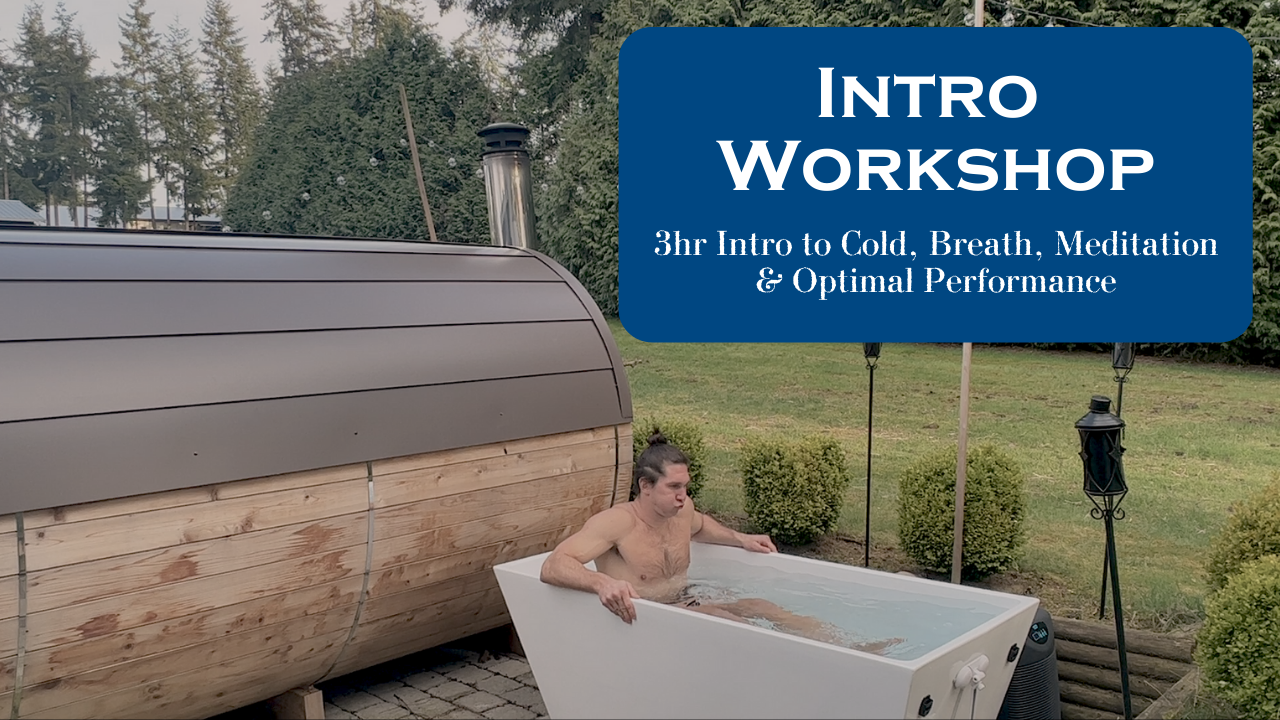 4HR WORKSHOP | The Journey Within: an introduction to mindset, resilience and nervous system awareness