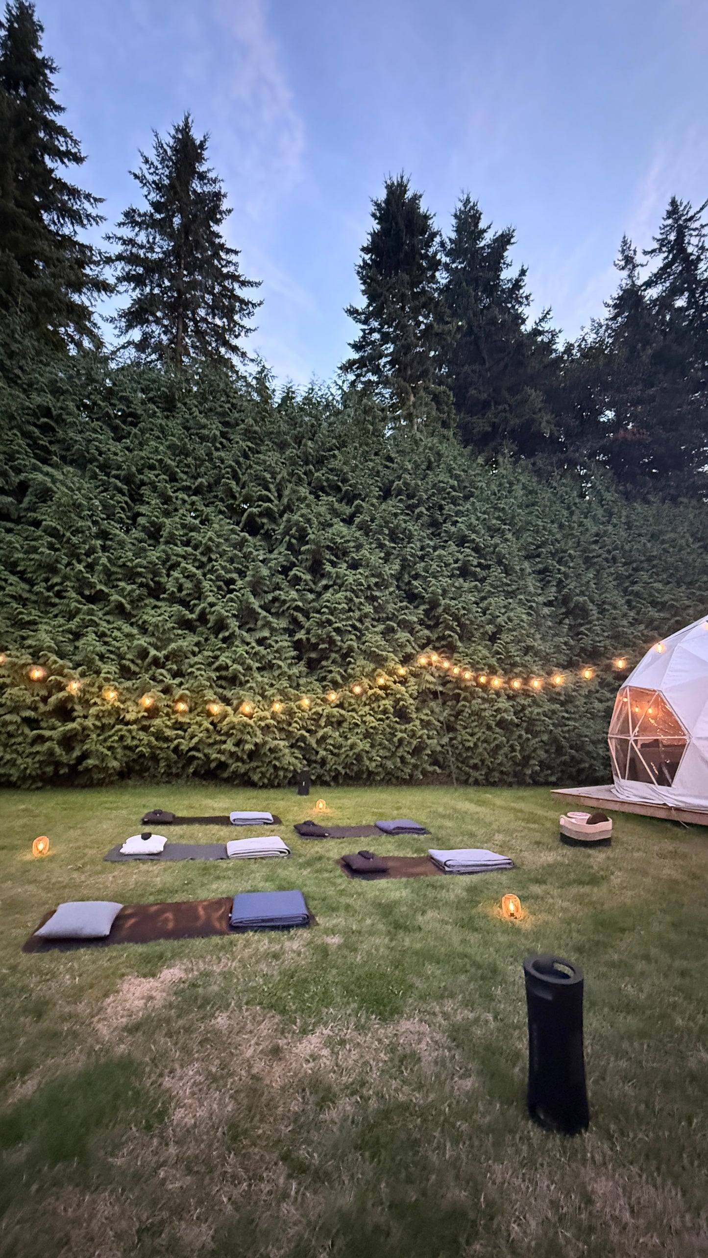 Healing & Restoration Private Session (for 1 or 2)