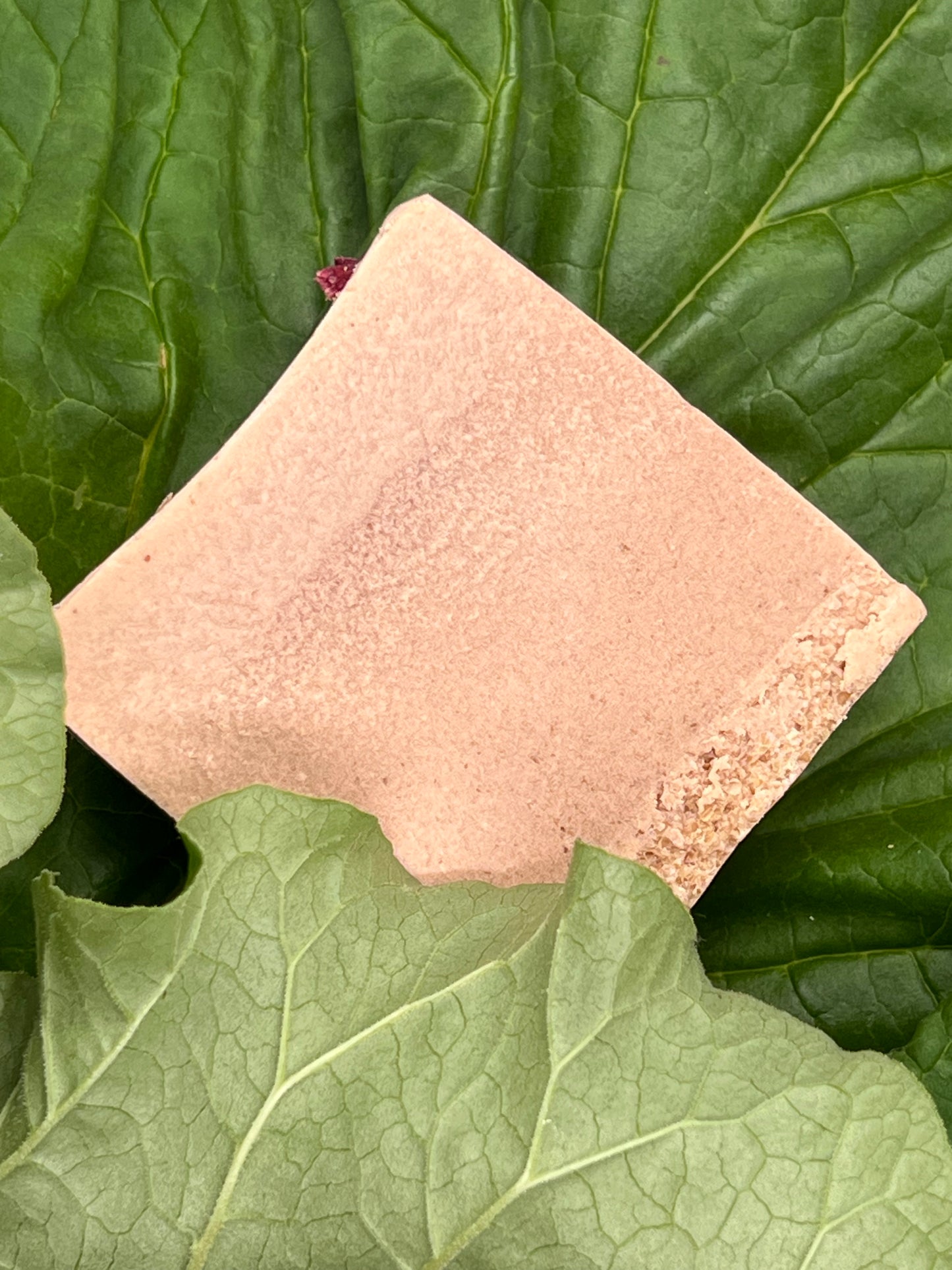 "The Perennial" Rhubarb and Vanilla Soap